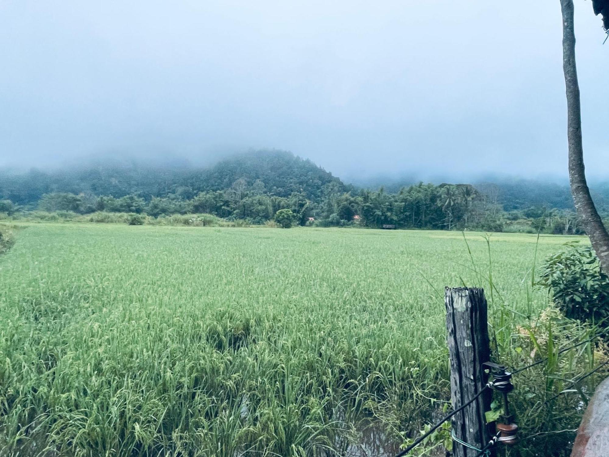บ้านสวนวิวทุ่ง Ban Mae Sap Nua ภายนอก รูปภาพ