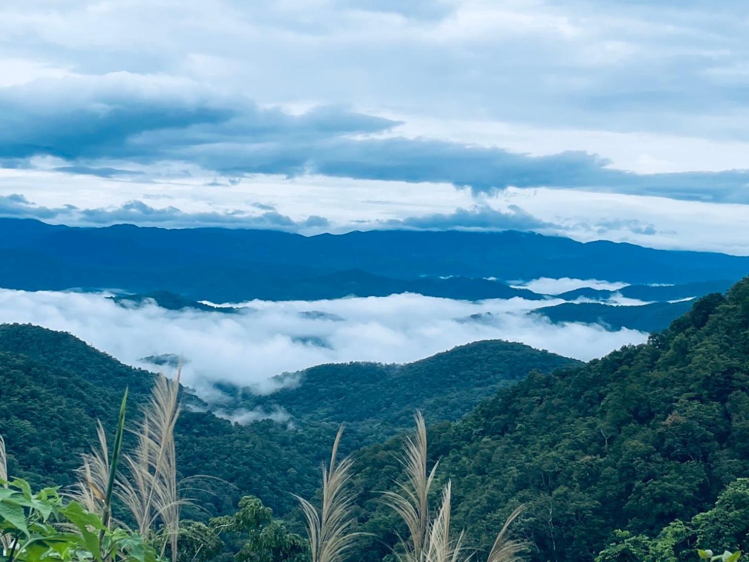 บ้านสวนวิวทุ่ง Ban Mae Sap Nua ภายนอก รูปภาพ