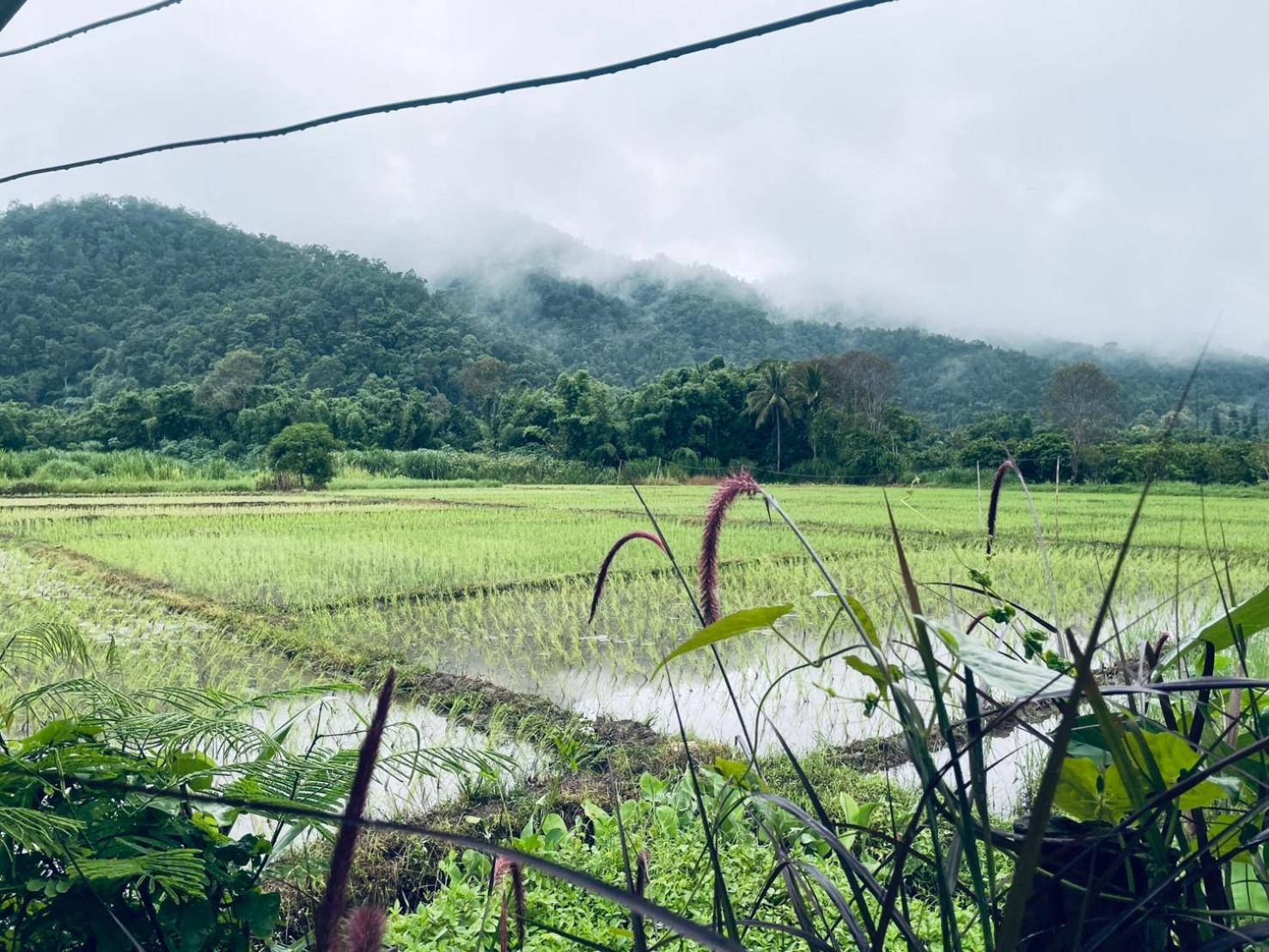 บ้านสวนวิวทุ่ง Ban Mae Sap Nua ภายนอก รูปภาพ
