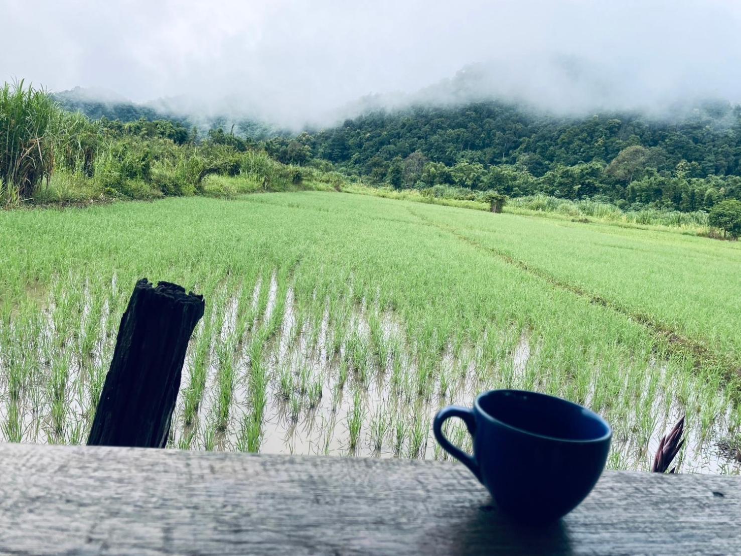 บ้านสวนวิวทุ่ง Ban Mae Sap Nua ภายนอก รูปภาพ