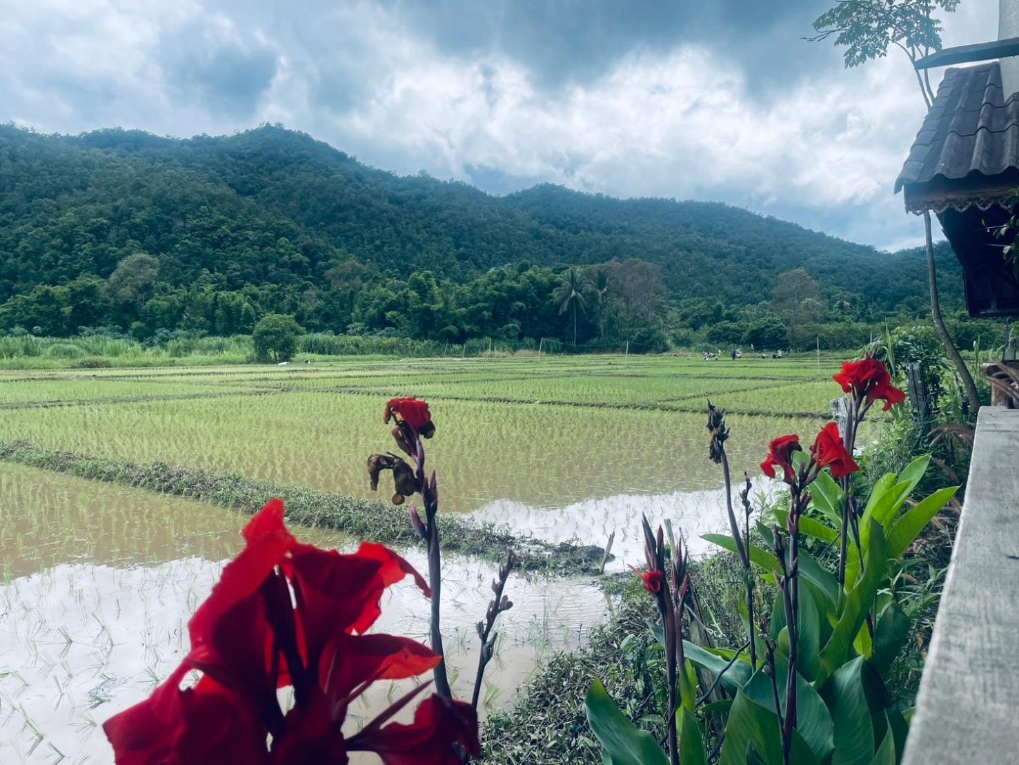 บ้านสวนวิวทุ่ง Ban Mae Sap Nua ภายนอก รูปภาพ
