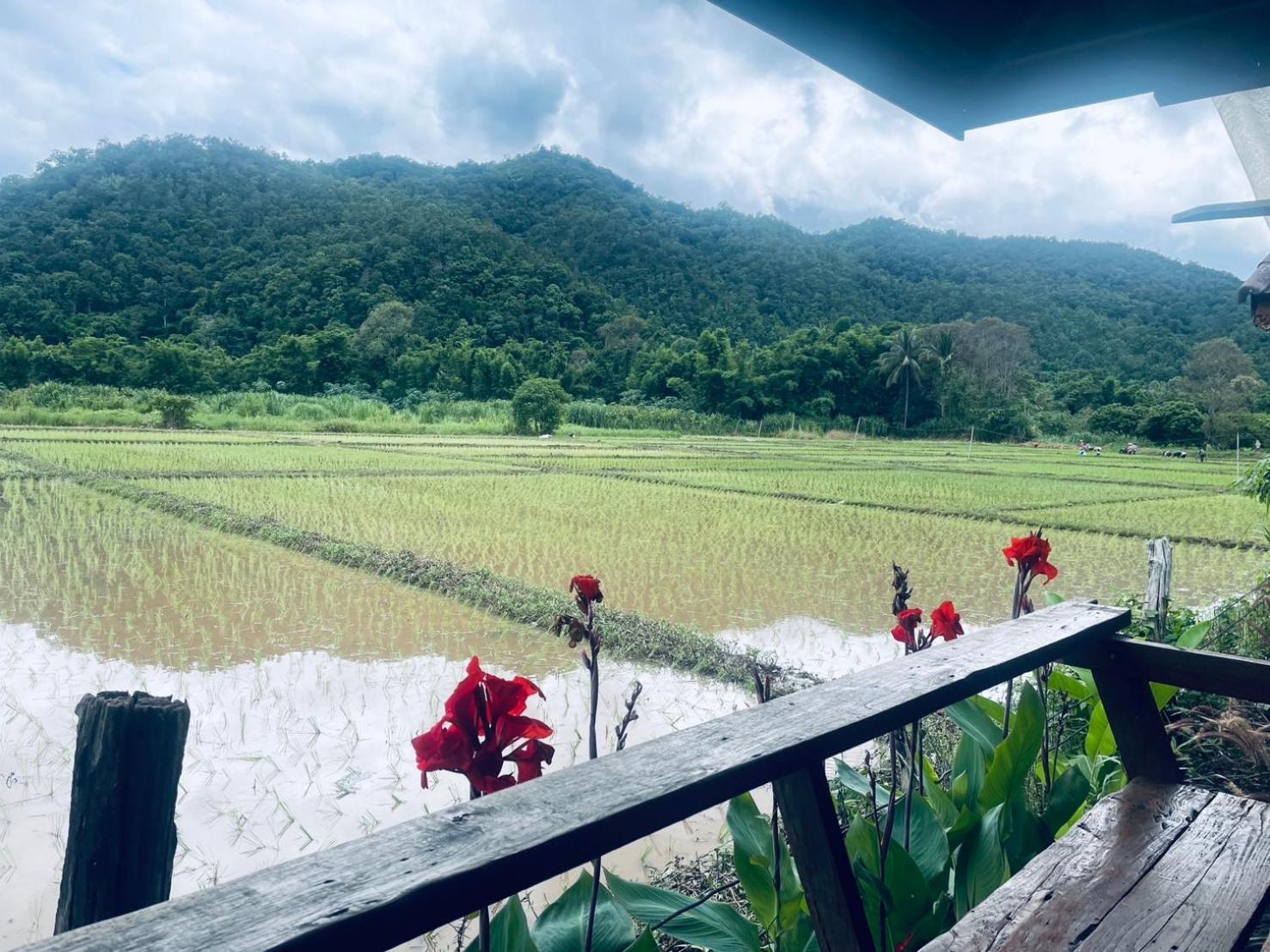 บ้านสวนวิวทุ่ง Ban Mae Sap Nua ภายนอก รูปภาพ