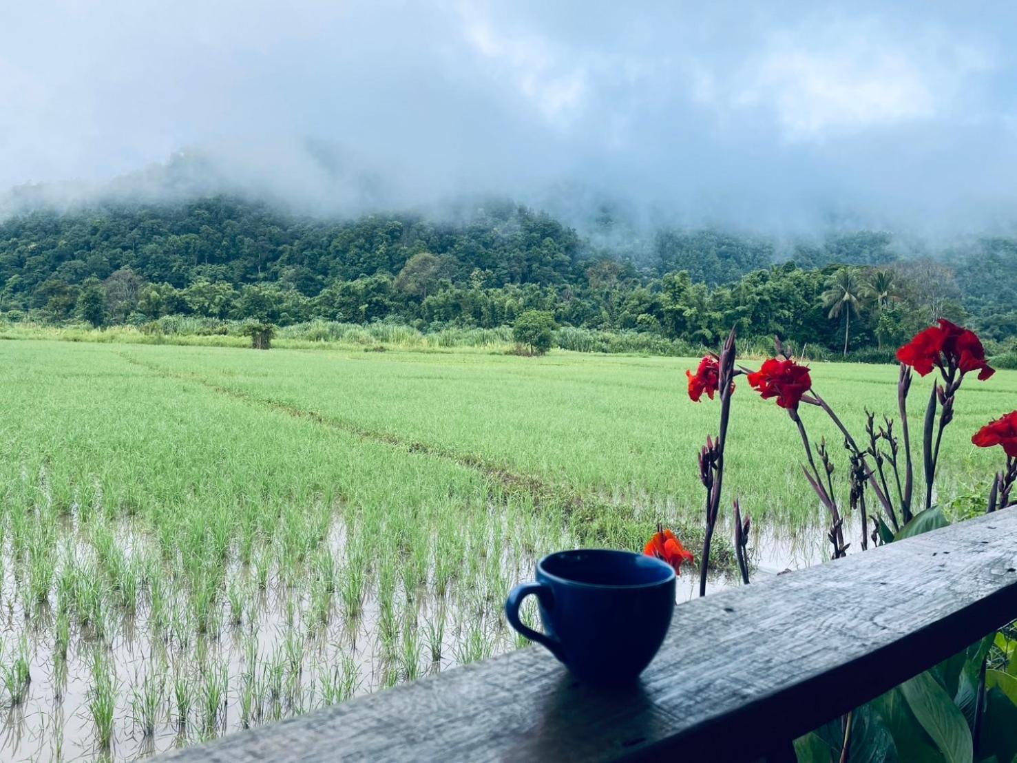 บ้านสวนวิวทุ่ง Ban Mae Sap Nua ภายนอก รูปภาพ