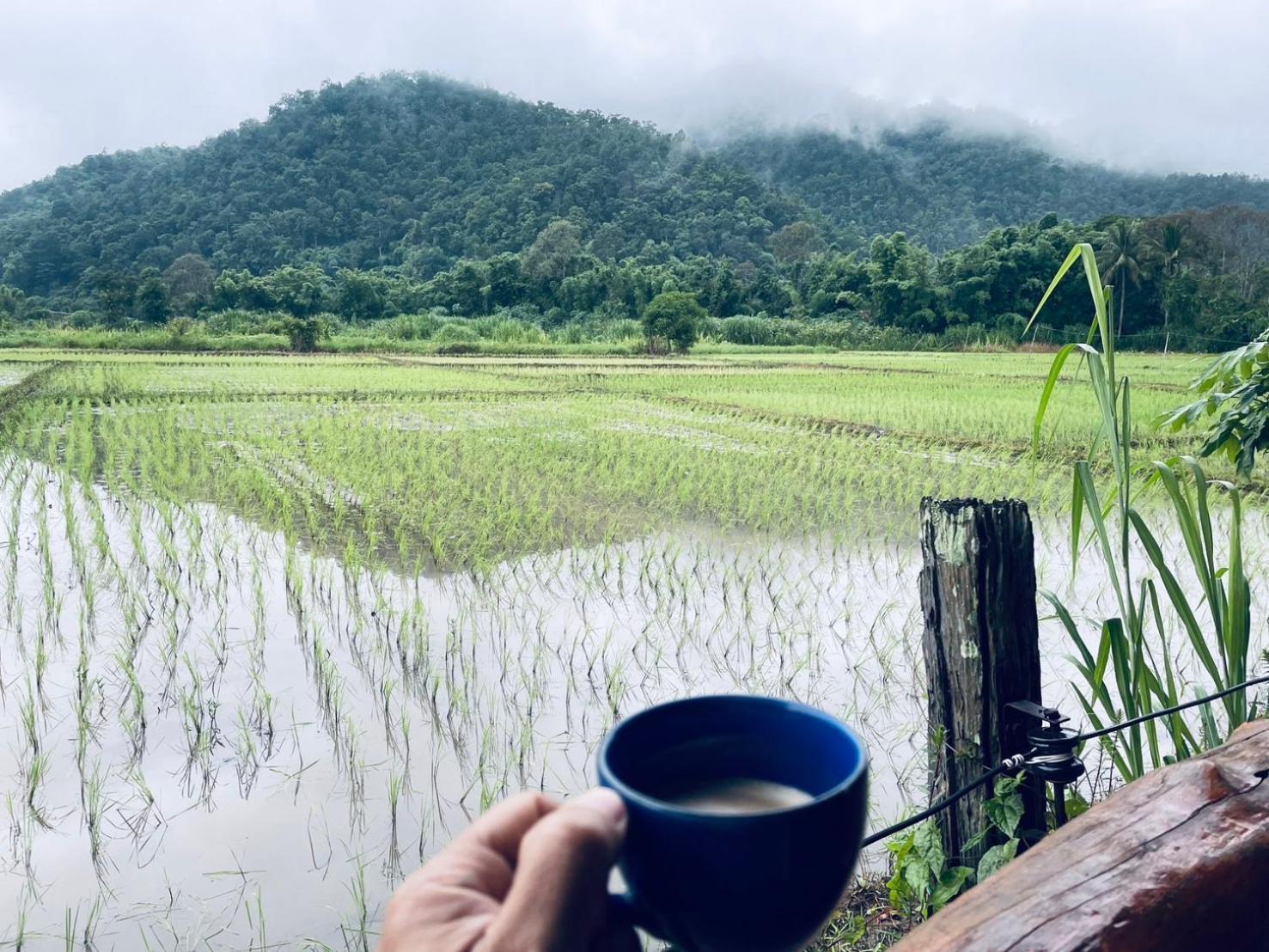 บ้านสวนวิวทุ่ง Ban Mae Sap Nua ภายนอก รูปภาพ