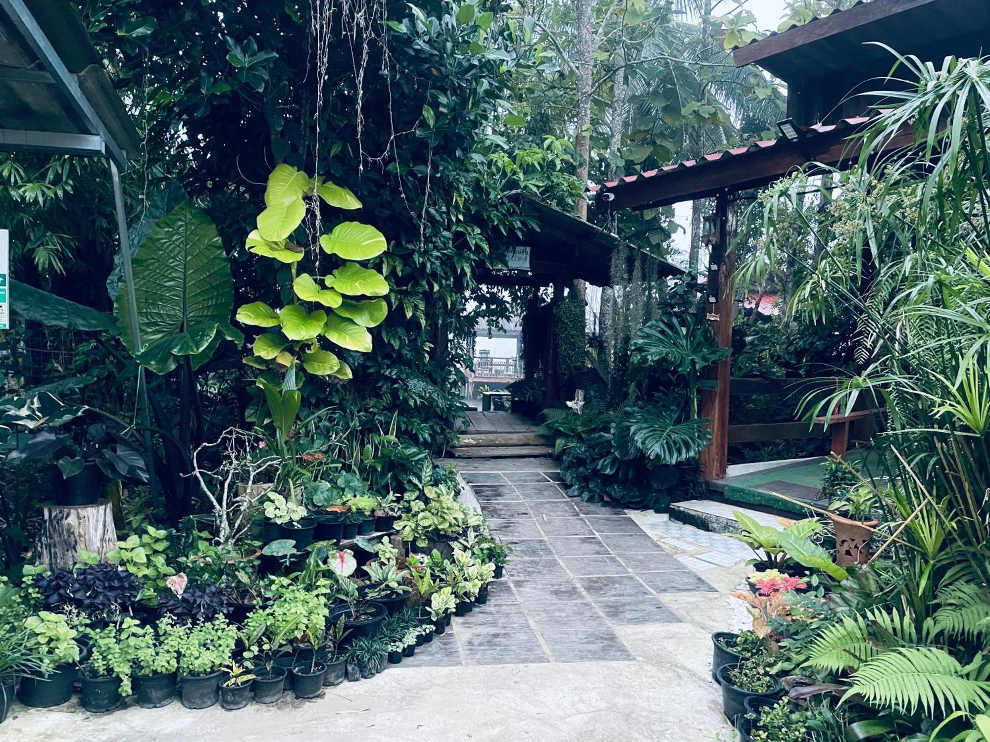 บ้านสวนวิวทุ่ง Ban Mae Sap Nua ภายนอก รูปภาพ
