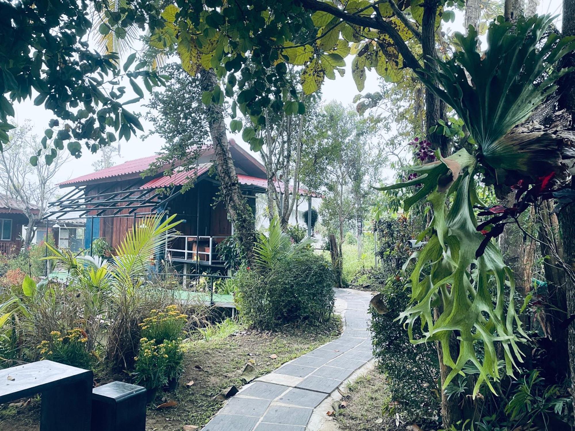 บ้านสวนวิวทุ่ง Ban Mae Sap Nua ภายนอก รูปภาพ